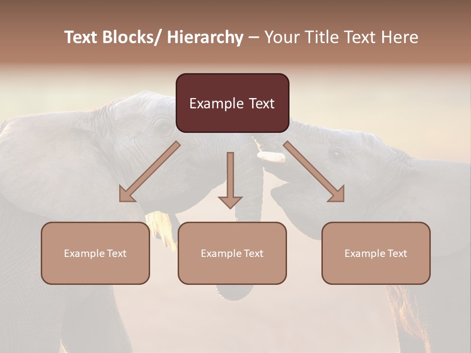 Animal Gentleness Gentle PowerPoint Template