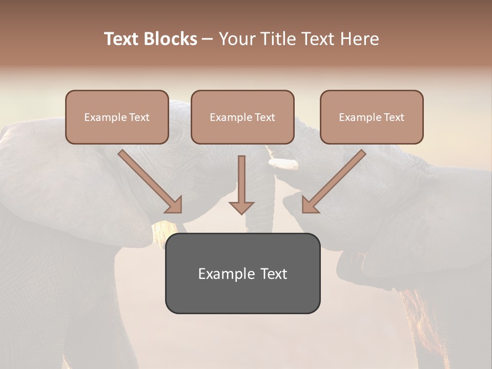 Animal Gentleness Gentle PowerPoint Template
