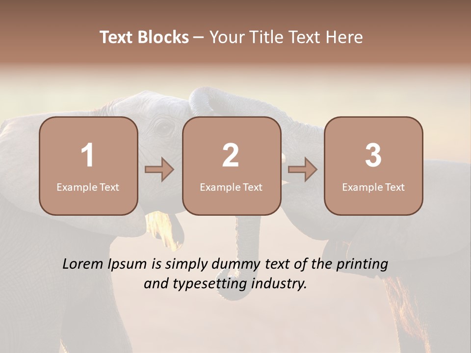 Animal Gentleness Gentle PowerPoint Template