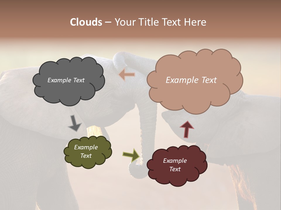 Animal Gentleness Gentle PowerPoint Template