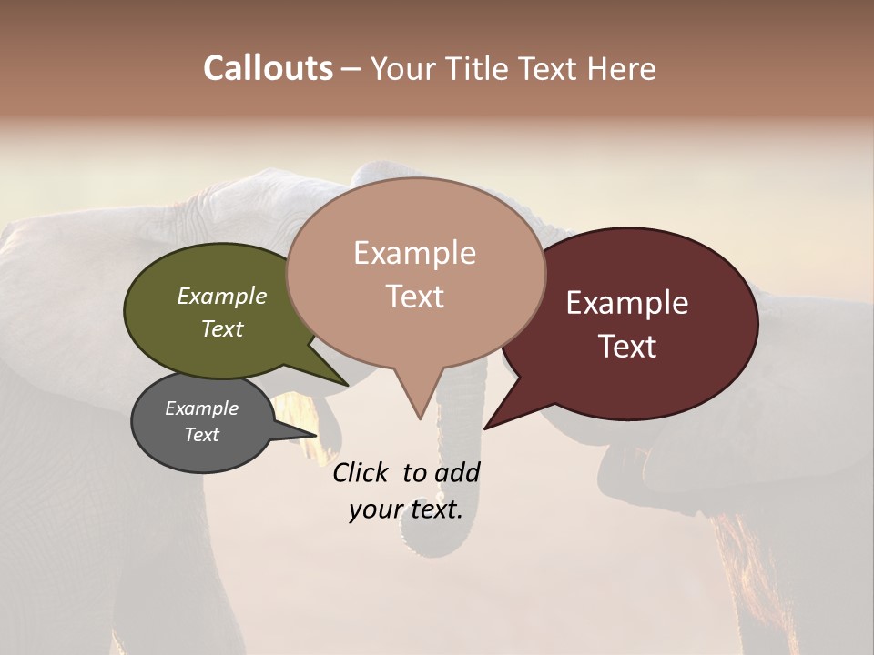 Animal Gentleness Gentle PowerPoint Template