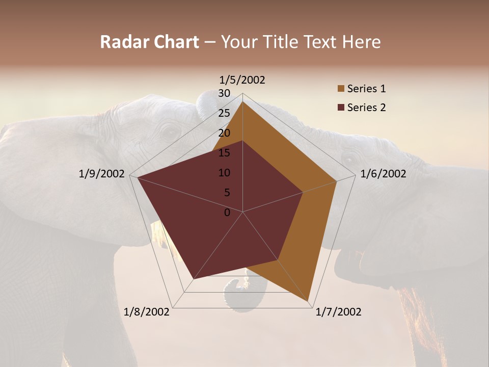 Animal Gentleness Gentle PowerPoint Template
