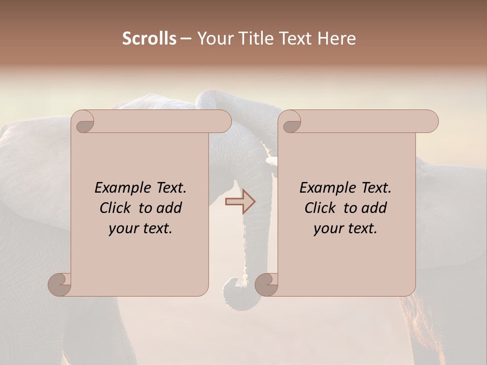 Animal Gentleness Gentle PowerPoint Template