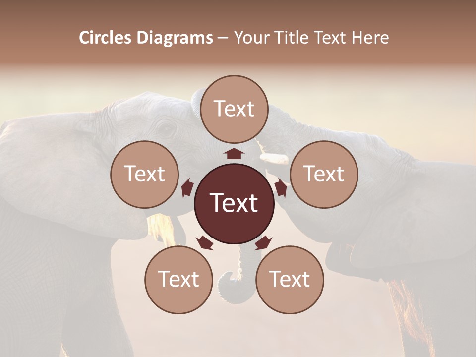 Animal Gentleness Gentle PowerPoint Template