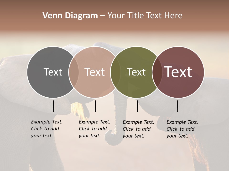 Animal Gentleness Gentle PowerPoint Template