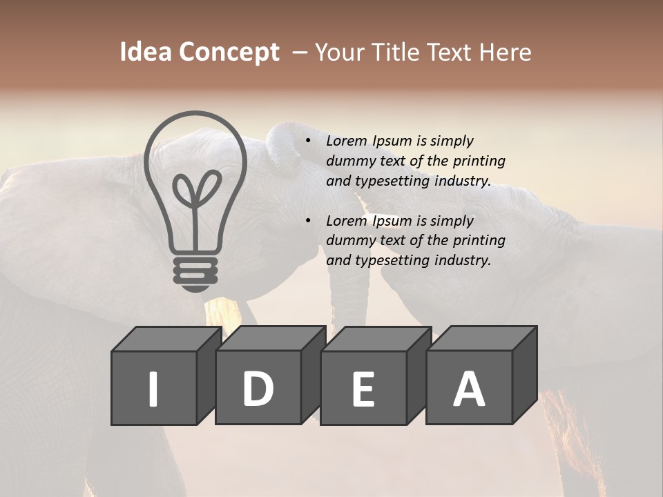 Animal Gentleness Gentle PowerPoint Template