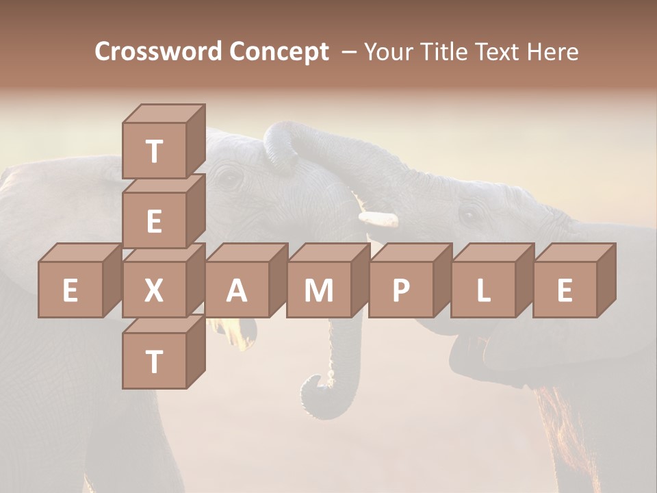 Animal Gentleness Gentle PowerPoint Template