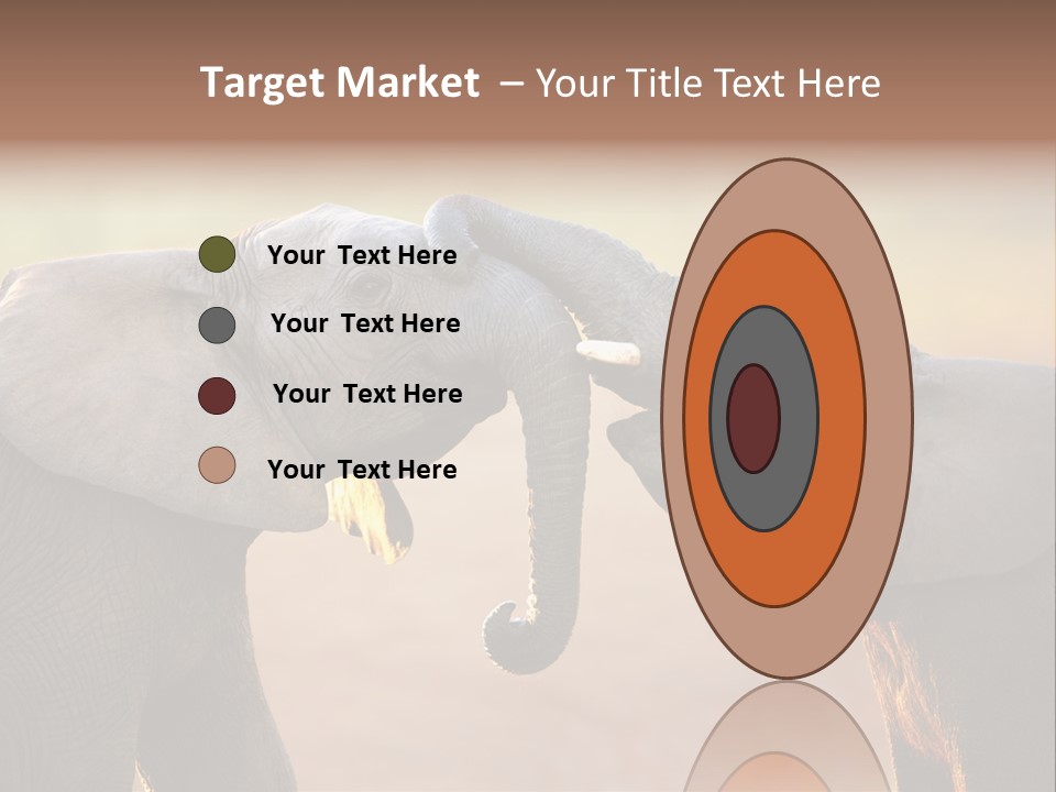 Animal Gentleness Gentle PowerPoint Template