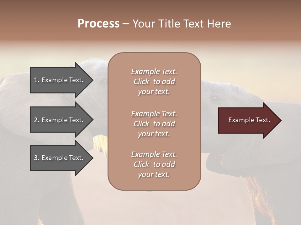Animal Gentleness Gentle PowerPoint Template
