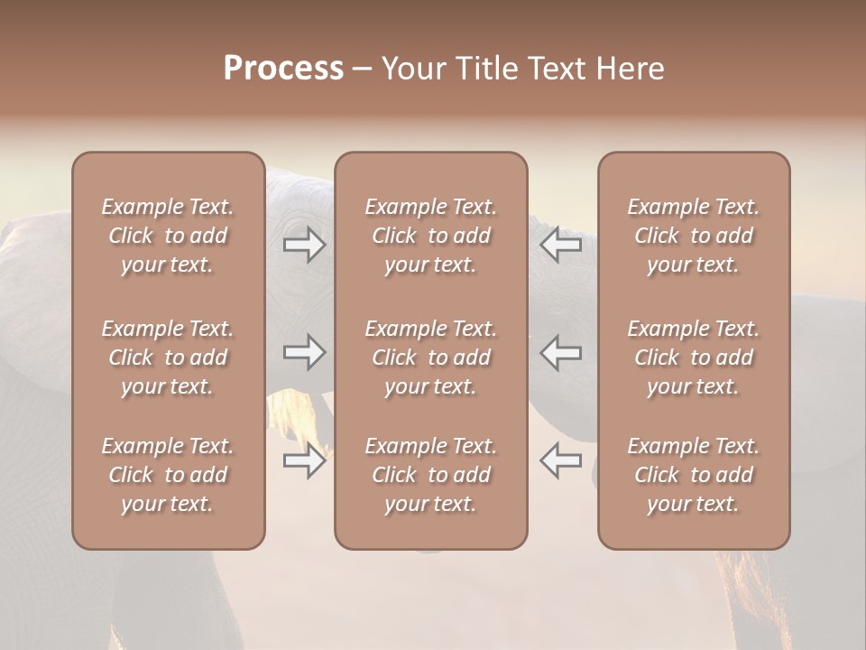 Animal Gentleness Gentle PowerPoint Template