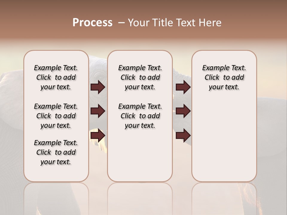 Animal Gentleness Gentle PowerPoint Template