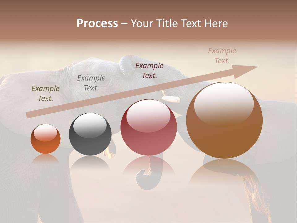 Animal Gentleness Gentle PowerPoint Template