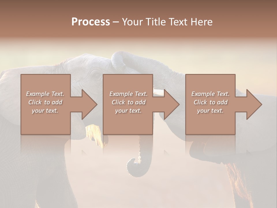 Animal Gentleness Gentle PowerPoint Template
