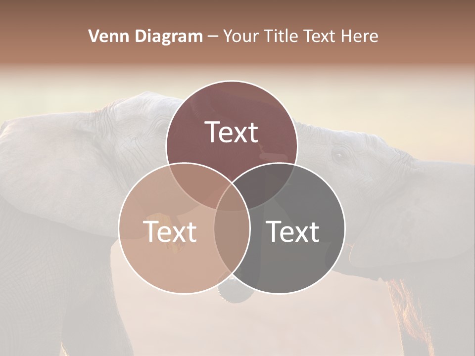 Animal Gentleness Gentle PowerPoint Template