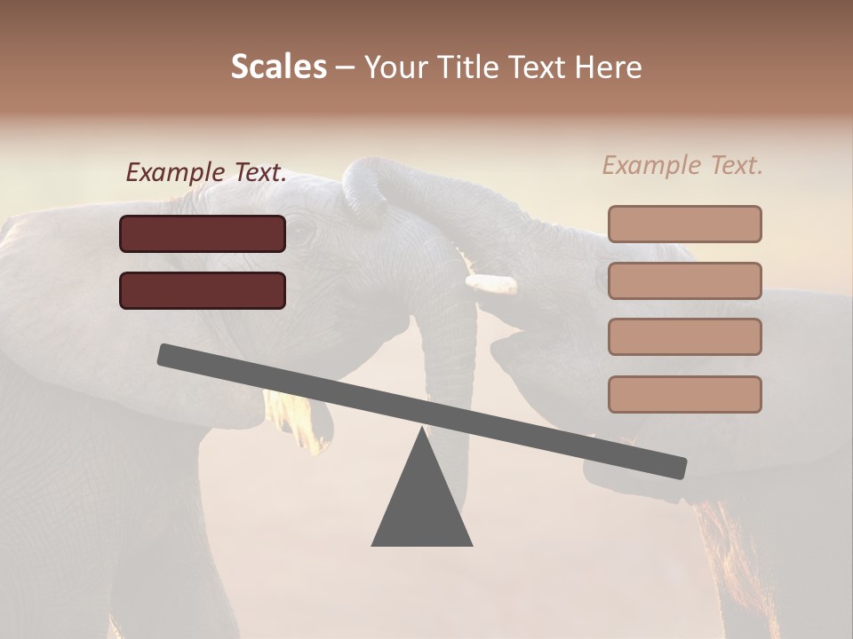 Animal Gentleness Gentle PowerPoint Template