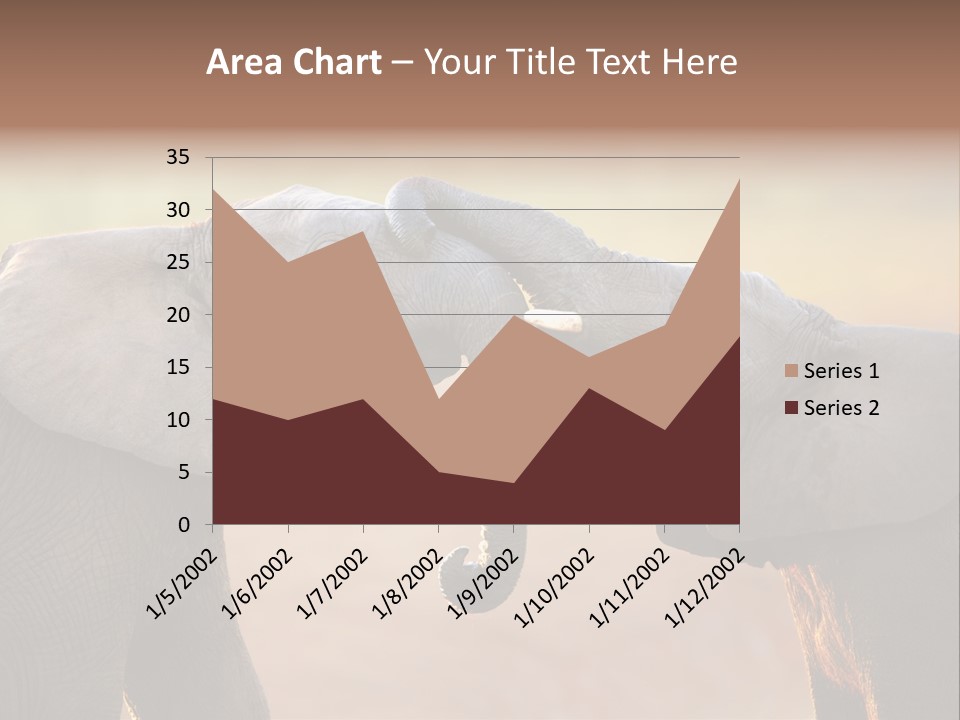 Animal Gentleness Gentle PowerPoint Template