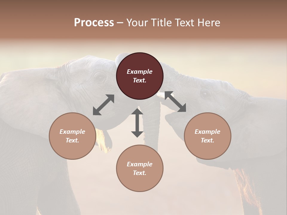 Animal Gentleness Gentle PowerPoint Template