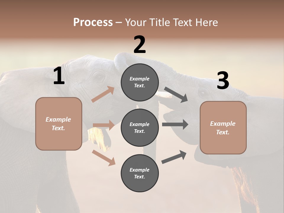 Animal Gentleness Gentle PowerPoint Template