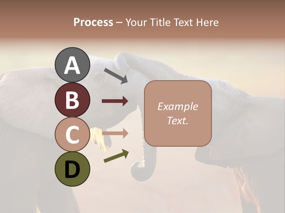 Animal Gentleness Gentle PowerPoint Template