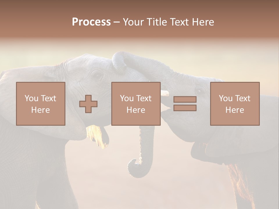 Animal Gentleness Gentle PowerPoint Template