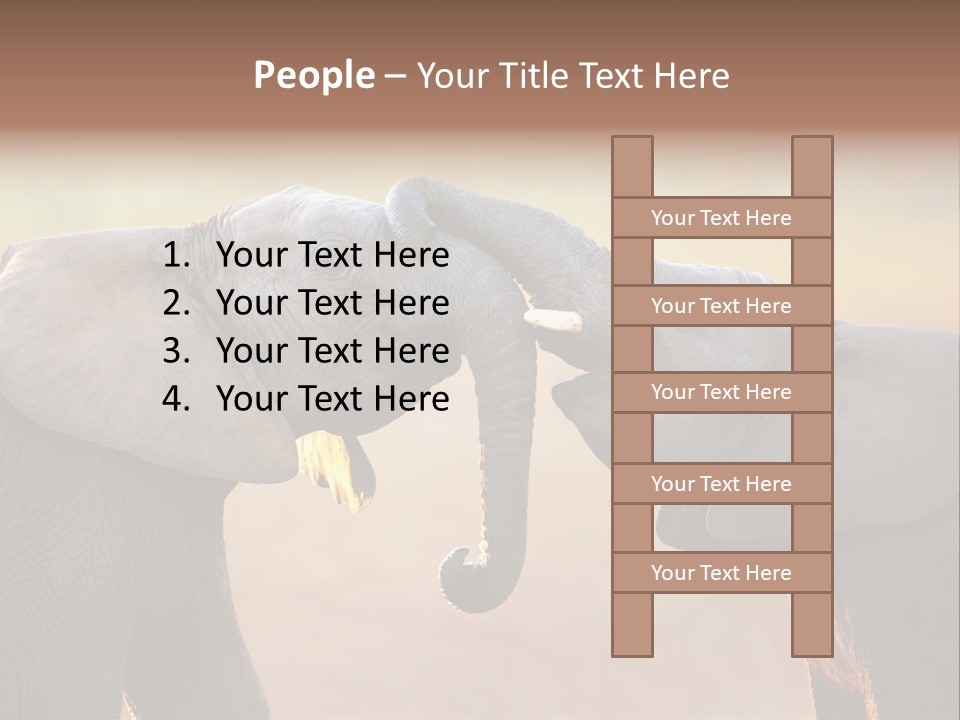 Animal Gentleness Gentle PowerPoint Template