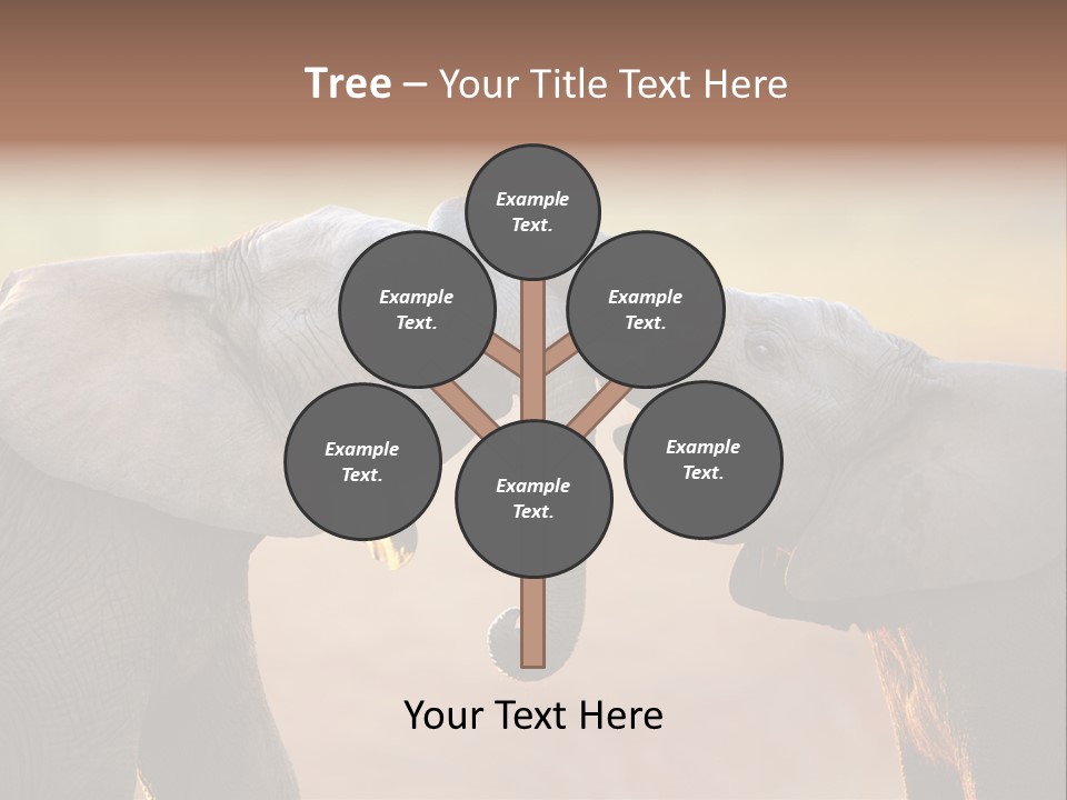 Animal Gentleness Gentle PowerPoint Template