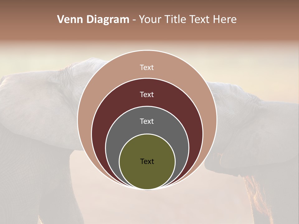 Animal Gentleness Gentle PowerPoint Template