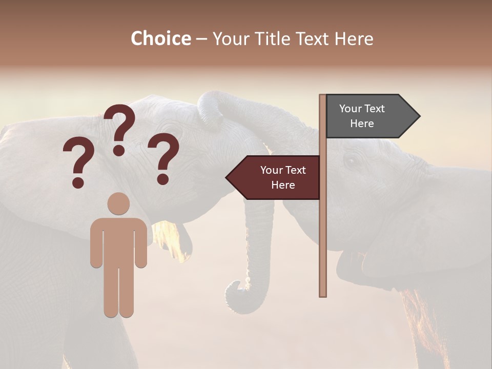 Animal Gentleness Gentle PowerPoint Template