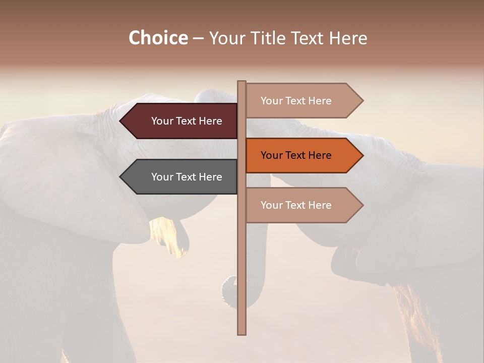 Animal Gentleness Gentle PowerPoint Template