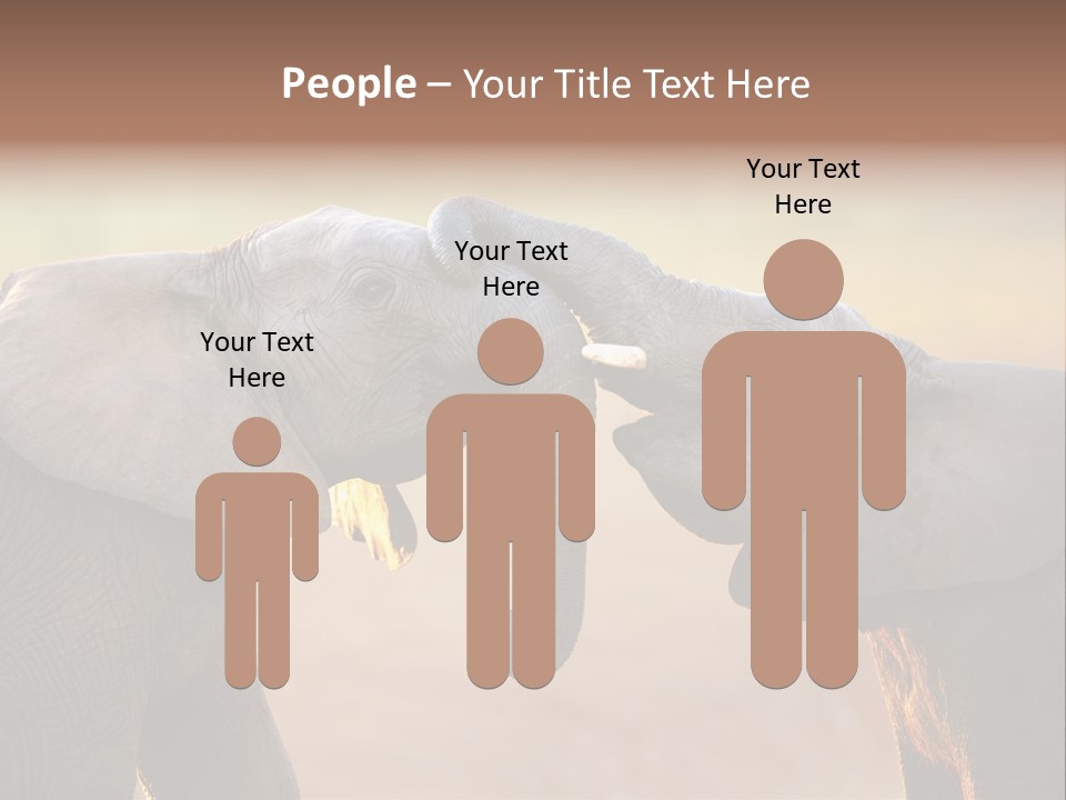 Animal Gentleness Gentle PowerPoint Template