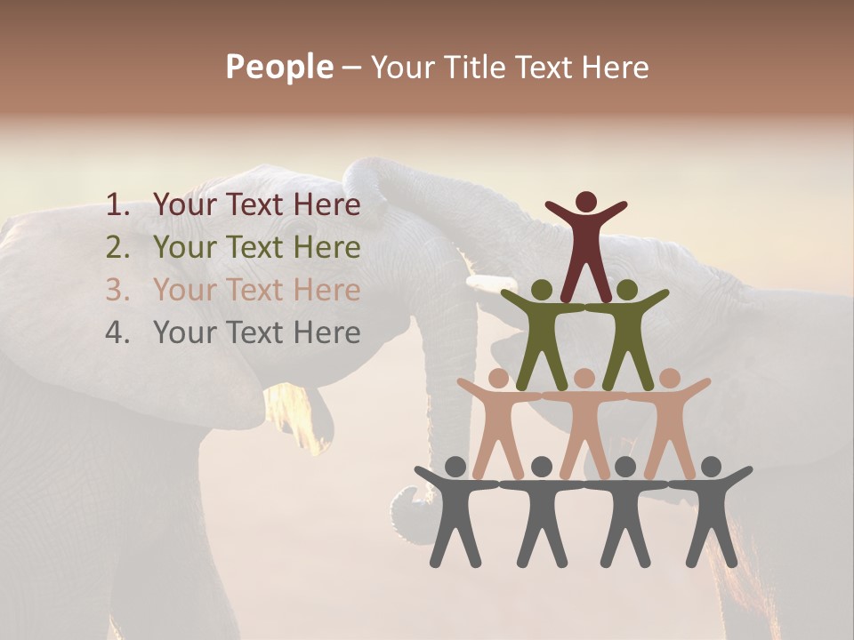 Animal Gentleness Gentle PowerPoint Template