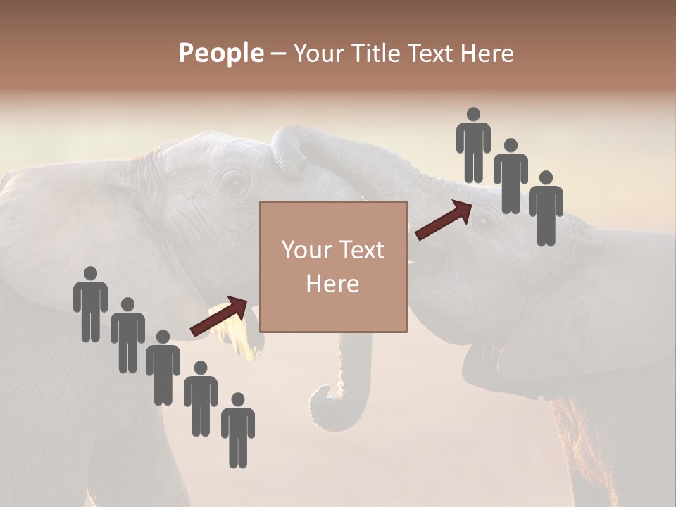 Animal Gentleness Gentle PowerPoint Template