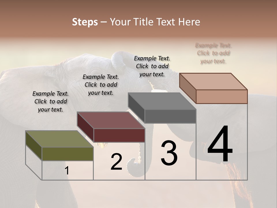 Animal Gentleness Gentle PowerPoint Template