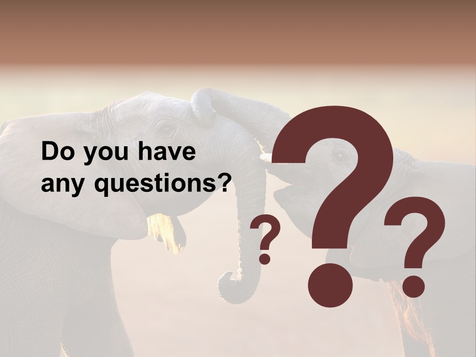 Animal Gentleness Gentle PowerPoint Template