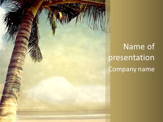 Tree Surf Coconut PowerPoint Template