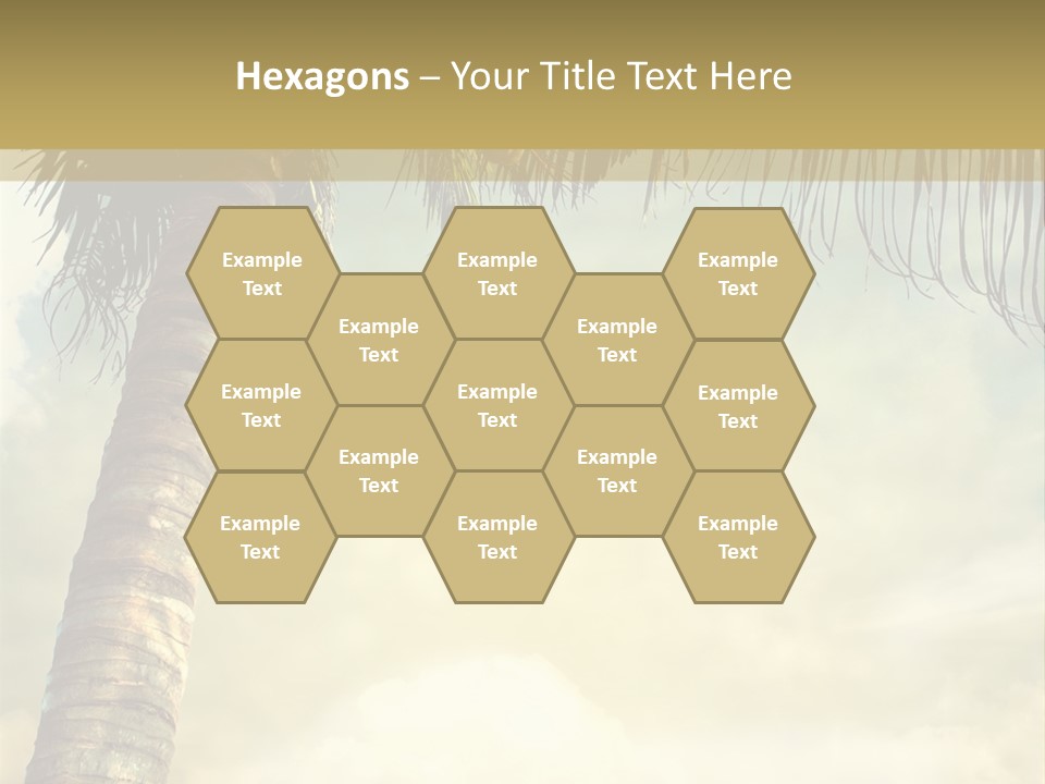 Tree Surf Coconut PowerPoint Template