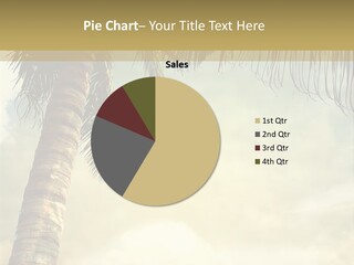 Tree Surf Coconut PowerPoint Template