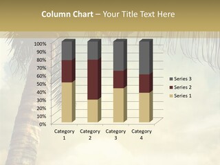 Tree Surf Coconut PowerPoint Template