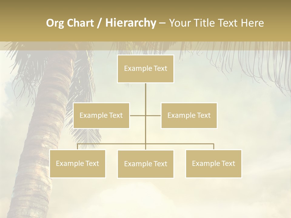 Tree Surf Coconut PowerPoint Template