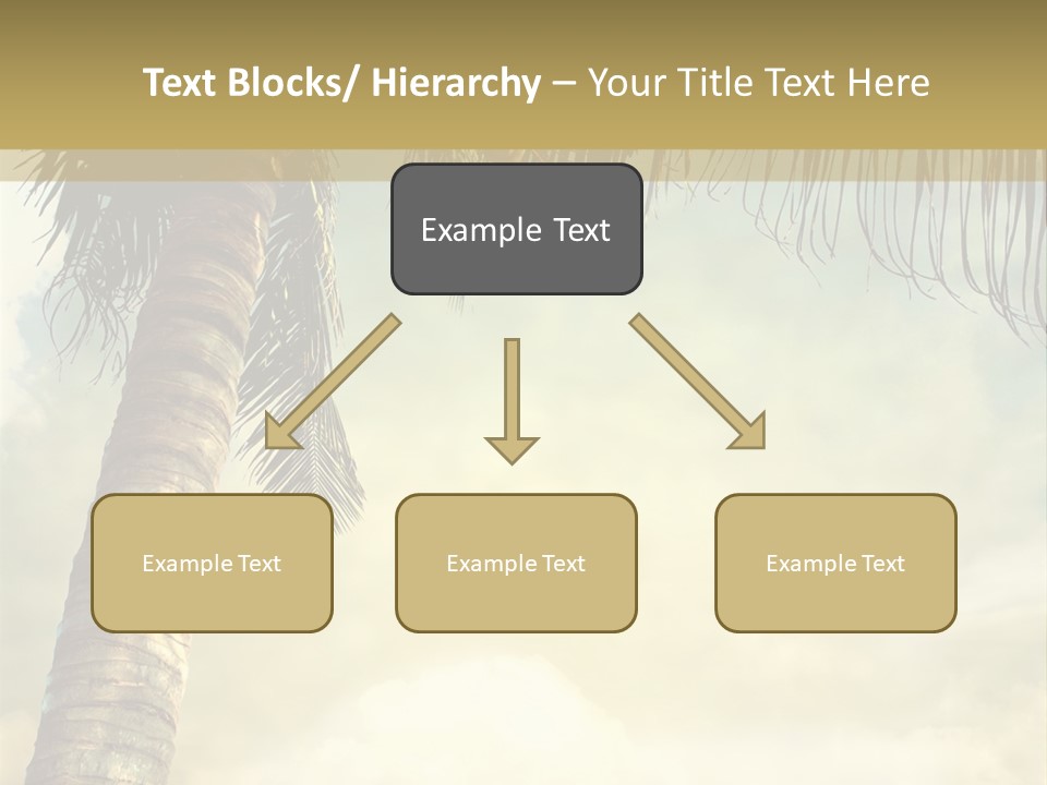 Tree Surf Coconut PowerPoint Template