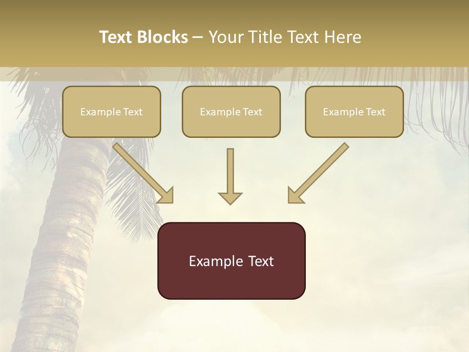 Tree Surf Coconut PowerPoint Template
