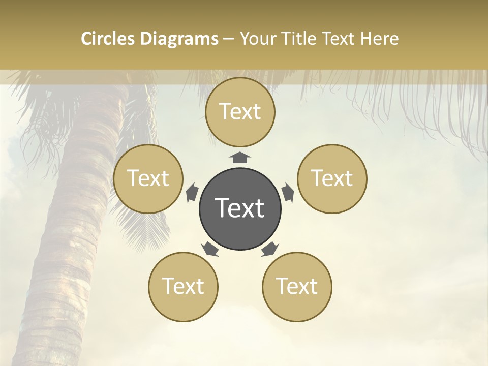 Tree Surf Coconut PowerPoint Template