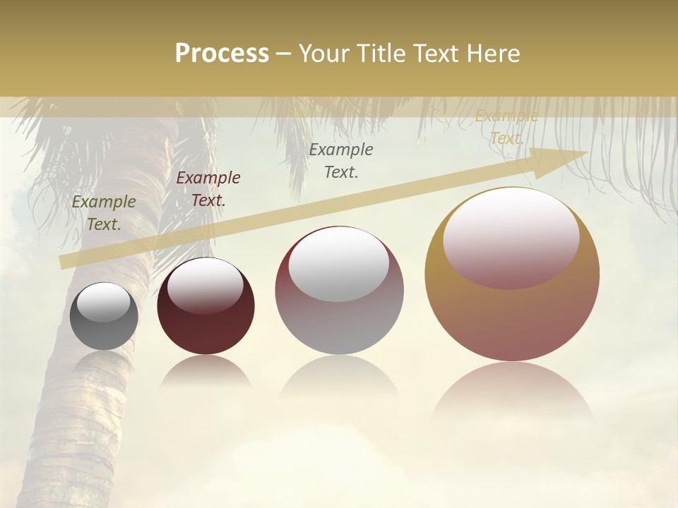 Tree Surf Coconut PowerPoint Template