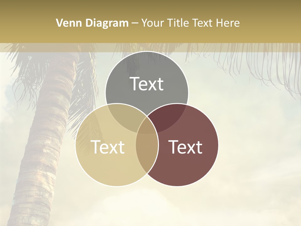 Tree Surf Coconut PowerPoint Template