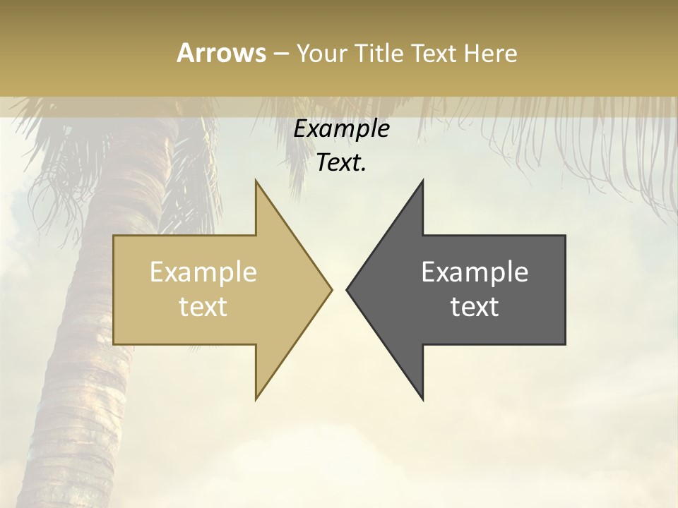 Tree Surf Coconut PowerPoint Template