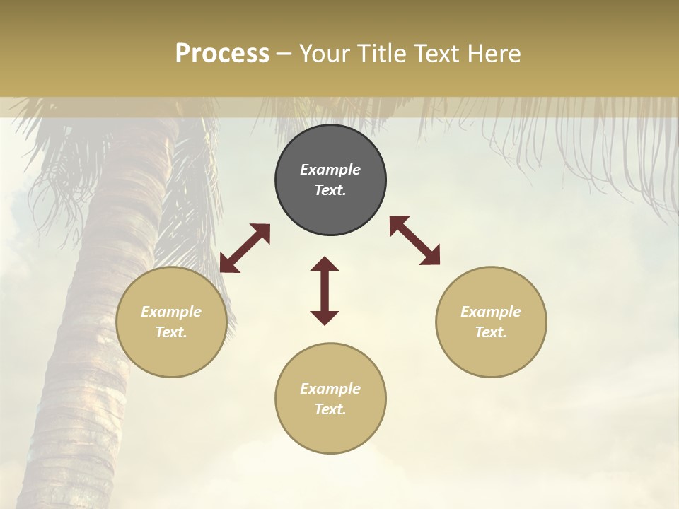 Tree Surf Coconut PowerPoint Template