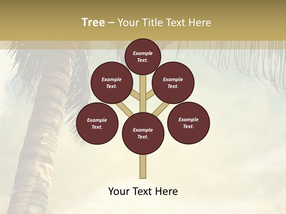 Tree Surf Coconut PowerPoint Template