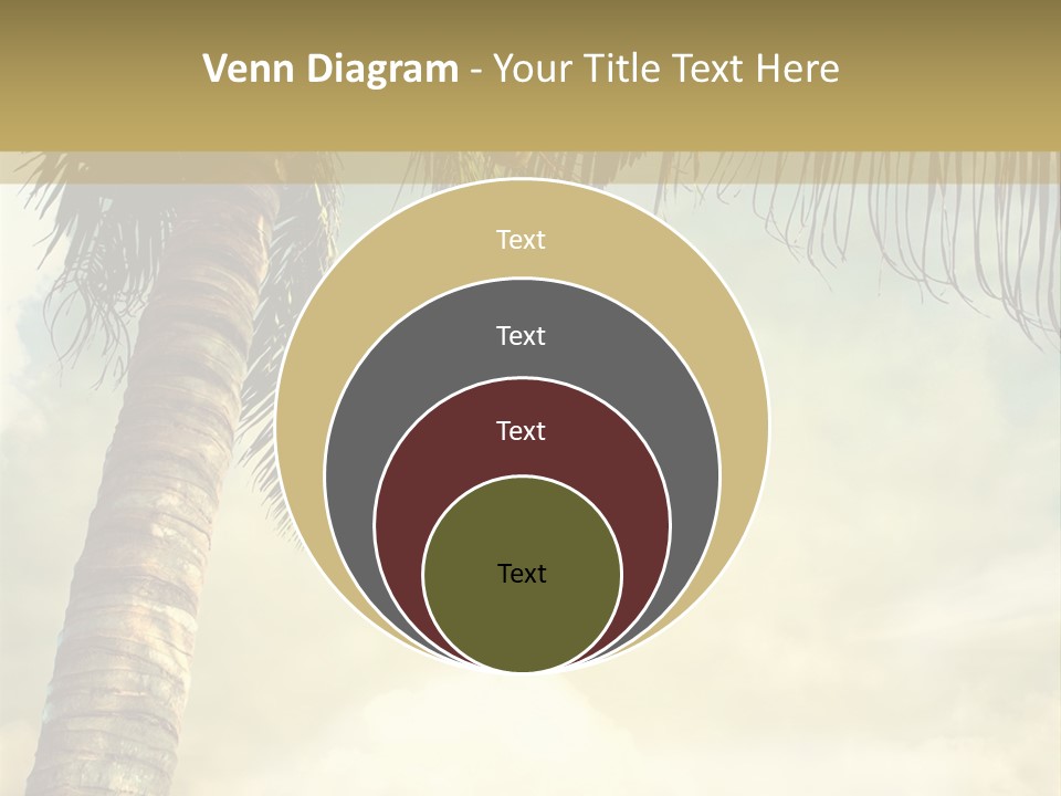 Tree Surf Coconut PowerPoint Template