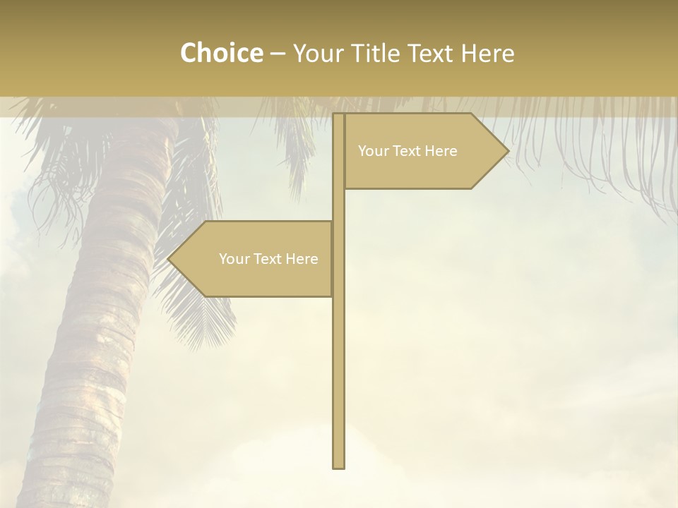Tree Surf Coconut PowerPoint Template