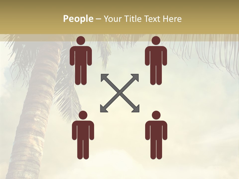 Tree Surf Coconut PowerPoint Template